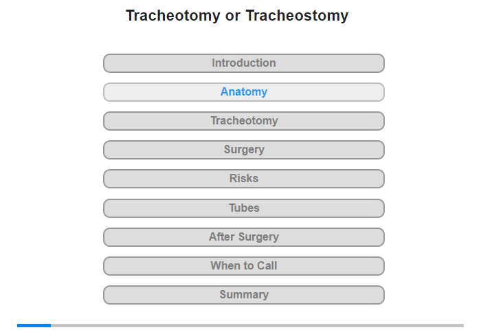 Anatomy