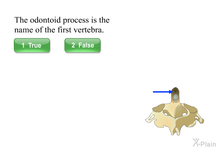 The odontoid process is the name of the first vertebra. Press True or False.