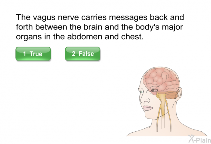 The vagus nerve carries messages back and forth between the brain and the body's major organs in the abdomen and chest. t/f