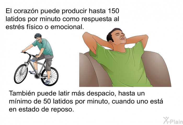 El corazn puede producir hasta 150 latidos por minuto como respuesta al estrs fsico o emocional. Tambin puede latir ms despacio, hasta un mnimo de 50 latidos por minuto, cuando uno est en estado de reposo.