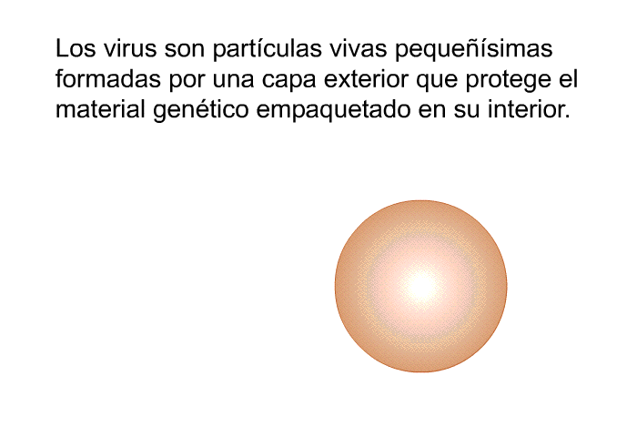 Los virus son partculas vivas pequesimas formadas por una capa exterior que protege el material gentico empaquetado en su interior.