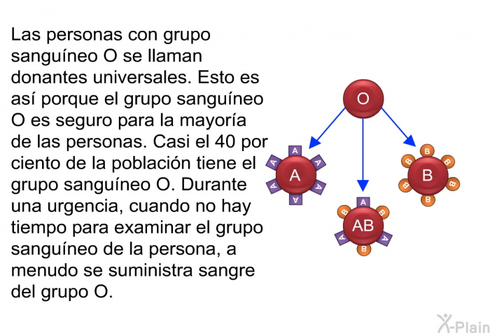 Las personas con grupo sanguneo O se llaman donantes universales. Esto es as porque el grupo sanguneo O es seguro para la mayora de las personas. Casi el 40 por ciento de la poblacin tiene el grupo sanguneo O. Durante una urgencia, cuando no hay tiempo para examinar el grupo sanguneo de la persona, a menudo se suministra sangre del grupo O.