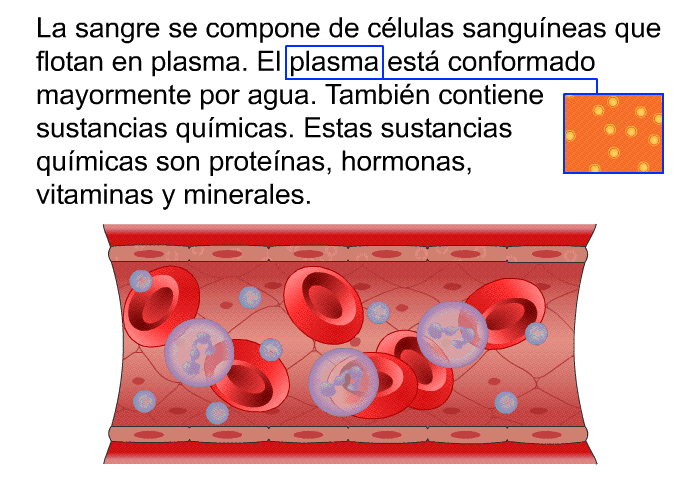 La sangre se compone de clulas sanguneas que flotan en plasma. El plasma est conformado mayormente por agua. Tambin contiene sustancias qumicas. Estas sustancias qumicas son protenas, hormonas, vitaminas y minerales.