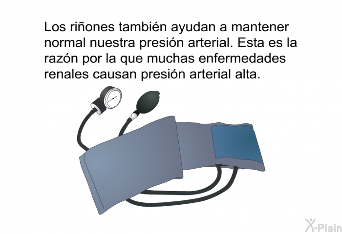 Los riones tambin ayudan a mantener normal nuestra presin arterial. Esta es la razn por la que muchas enfermedades renales causan presin arterial alta.