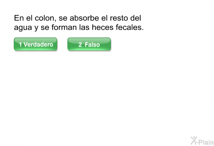 En el colon, se absorbe el resto del agua y se forman las heces fecales.