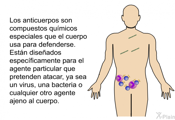 Los anticuerpos son compuestos qumicos especiales que el cuerpo usa para defenderse. Estn diseados especficamente para el agente particular que pretenden atacar, ya sea un virus, una bacteria o cualquier otro agente ajeno al cuerpo.