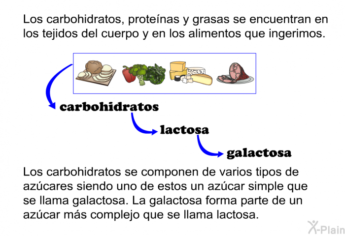 Los carbohidratos, protenas y grasas se encuentran en los tejidos del cuerpo y en los alimentos que ingerimos. Los carbohidratos se componen de varios tipos de azcares siendo uno de estos un azcar simple que se llama galactosa. La galactosa forma parte de un azcar ms complejo que se llama lactosa.