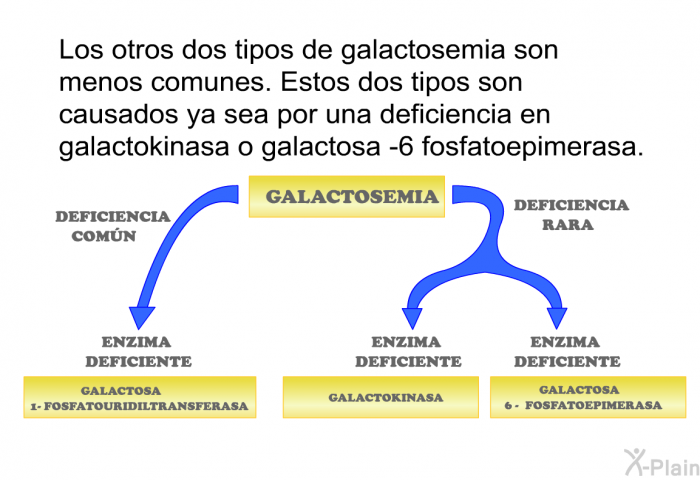 Los otros dos tipos de galactosemia son menos comunes. Estos dos tipos son causados ya sea por una deficiencia en galactokinasa o galactosa –6 fosfatoepimerasa.