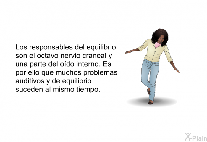 Los responsables del equilibrio son el octavo nervio craneal y una parte del odo interno. Es por ello que muchos problemas auditivos y de equilibrio suceden al mismo tiempo. 