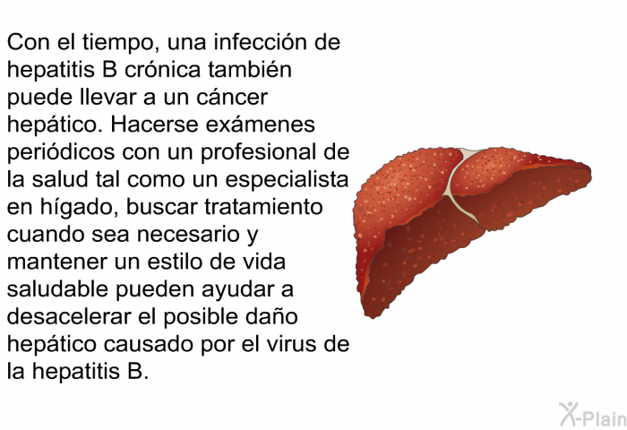 Con el tiempo, una infeccin de hepatitis B crnica tambin puede llevar<B> </B>a un<B> </B>cncer heptico. Hacerse exmenes peridicos con un profesional de la salud tal como un especialista en hgado, buscar tratamiento cuando sea necesario y mantener un estilo de vida saludable pueden ayudar a desacelerar el posible dao heptico causado por el virus de la hepatitis B.