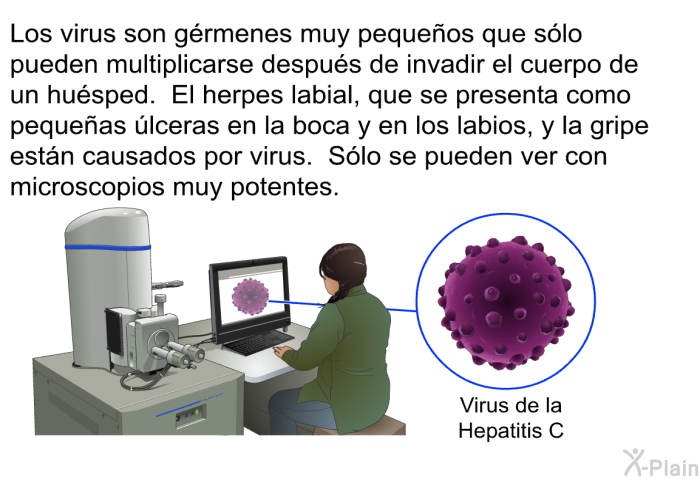 Los virus son grmenes muy pequeos que slo pueden multiplicarse despus de invadir el cuerpo de un husped. El herpes labial, que se presenta como pequeas lceras en la boca y en los labios, y la gripe estn causados por virus. Slo se pueden ver con microscopios muy potentes.