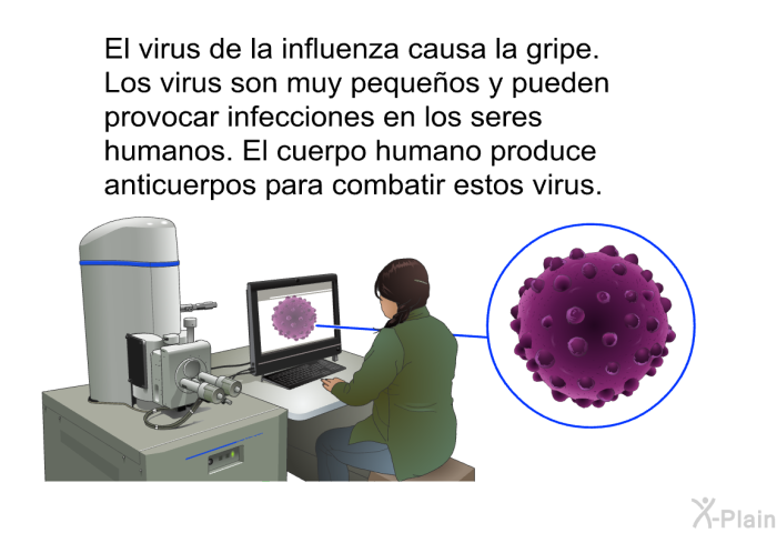 El virus de la influenza causa la gripe. Los virus son muy pequeos y pueden provocar infecciones en los seres humanos. El cuerpo humano produce anticuerpos para combatir estos virus.