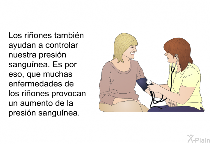 Los riones tambin ayudan a controlar nuestra presin sangunea. Es por eso, que muchas enfermedades de los riones provocan un aumento de la presin sangunea.