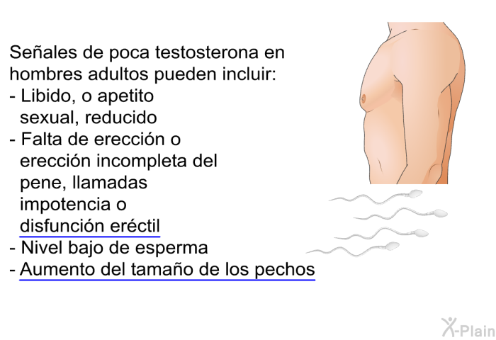Seales de poca testosterona en hombres adultos pueden incluir:  Libido, o apetito sexual, reducido Falta de ereccin o ereccin incompleta del pene, llamadas impotencia o disfuncin erctil) Nivel bajo de esperma Aumento del tamao de los pechos