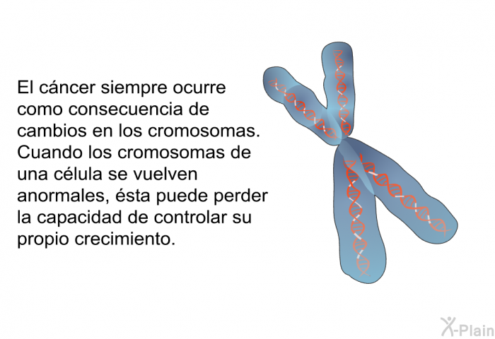 El cncer siempre ocurre como consecuencia de cambios en los cromosomas. Cuando los cromosomas de una clula se vuelven anormales, sta puede perder la capacidad de controlar su propio crecimiento.