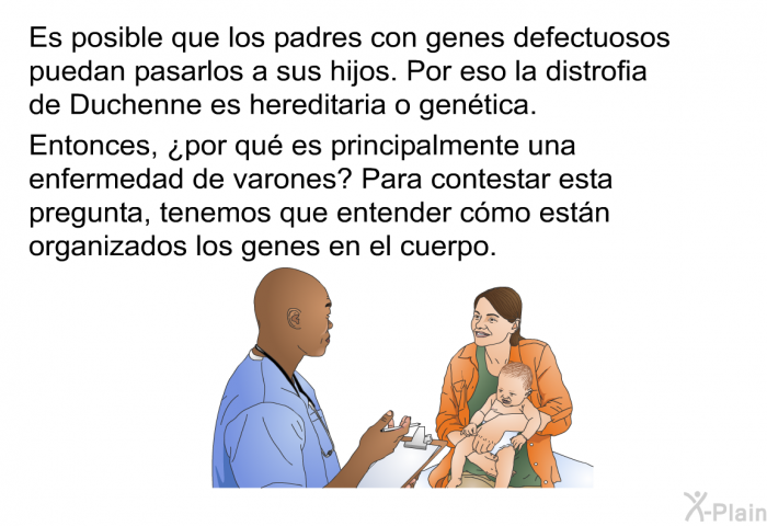 Es posible que los padres con genes defectuosos puedan pasarlos a sus hijos. Por eso la distrofia de Duchenne es hereditaria o gentica. Entonces, ¿por qu es principalmente una enfermedad de varones? Para contestar esta pregunta, tenemos que entender cmo estn organizados los genes en el cuerpo.