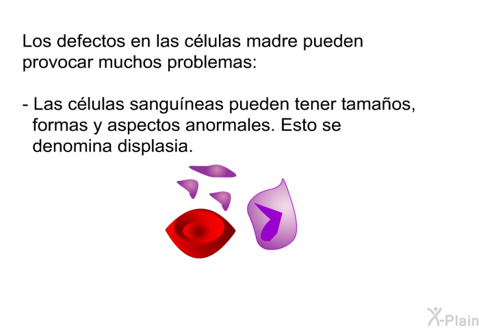 Los defectos en las clulas madre pueden provocar muchos problemas:  Las clulas sanguneas pueden tener tamaos, formas y aspectos anormales. Esto se denomina displasia.