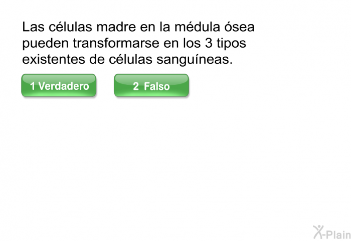 Las clulas madre en la mdula sea pueden transformarse en los 3 tipos existentes de clulas sanguneas.