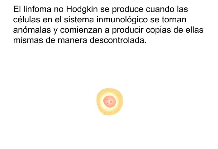 El linfoma no Hodgkin se produce cuando las c�lulas en el sistema inmunol�gico se tornan an�malas y comienzan a producir copias de ellas mismas de manera descontrolada.