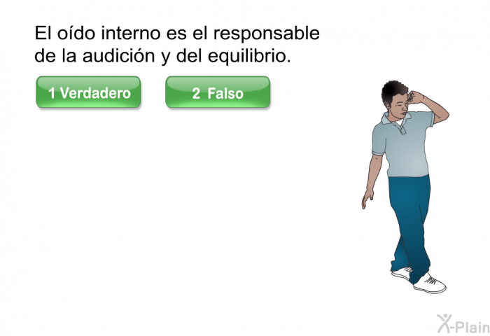 El odo interno es el responsable de la audicin y del equilibrio.