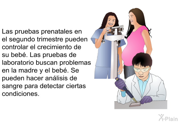 Examenes de best sale laboratorio prenatales