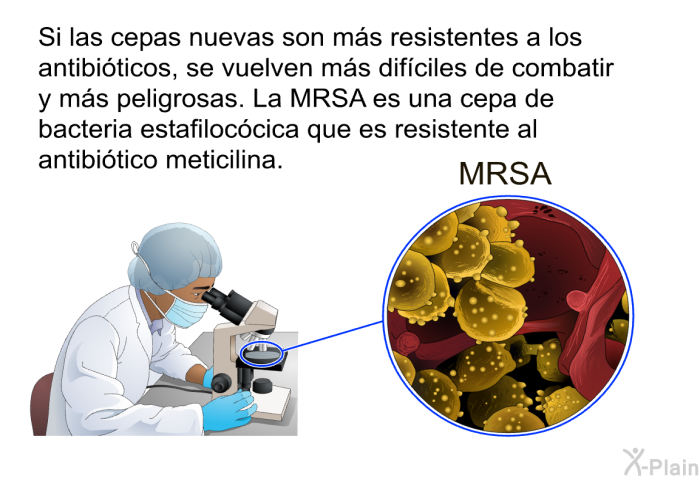 Si las cepas nuevas son ms resistentes a los antibiticos, se vuelven ms difciles de combatir y ms peligrosas. La MRSA es una cepa de bacteria estafiloccica que es resistente al antibitico meticilina.