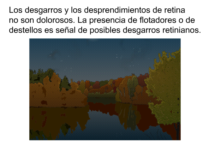 Los desgarros y los desprendimientos de retina no son dolorosos. La presencia de flotadores o de destellos es seal de posibles desgarros retinianos.
