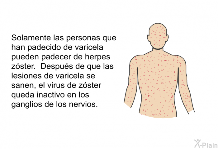 Solamente las personas que han padecido de varicela pueden padecer de herpes z<STRONG>ster. Despus de que las lesiones de varicela se sanen, el virus de z<STRONG>ster queda inactivo en los ganglios de los nervios.