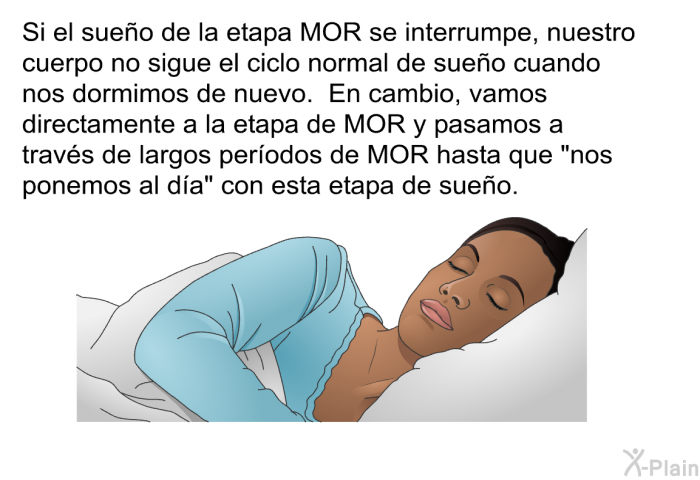 Si el sueo de la etapa MOR se interrumpe, nuestro cuerpo no sigue el ciclo normal de sueo cuando nos dormimos de nuevo. En cambio, vamos directamente a la etapa de MOR y pasamos a travs de largos perodos de MOR hasta que “nos ponemos al da” con esta etapa de sueo.