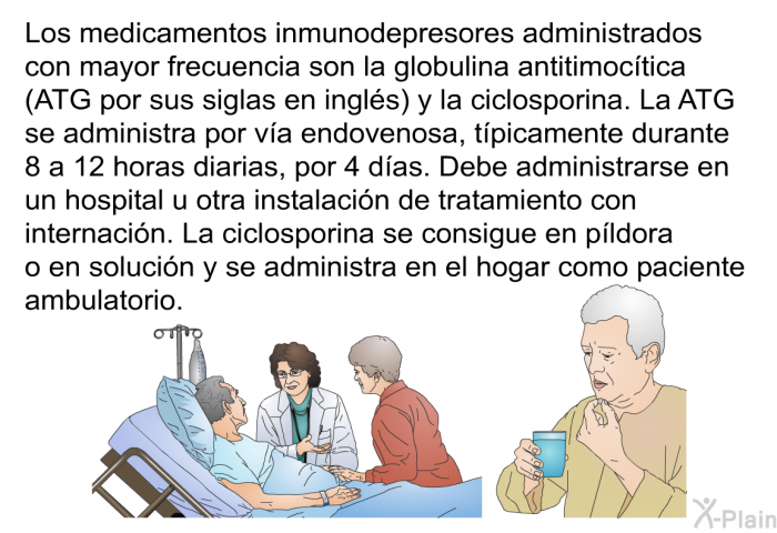 Los medicamentos inmunodepresores administrados con mayor frecuencia son la globulina antitimoctica (ATG por sus siglas en ingls) y la ciclosporina. La ATG se administra por va endovenosa, tpicamente durante 8 a 12 horas diarias, por 4 das. Debe administrarse en un hospital u otra instalacin de tratamiento con internacin. La ciclosporina se consigue en pldora o en solucin y se administra en el hogar como paciente ambulatorio.