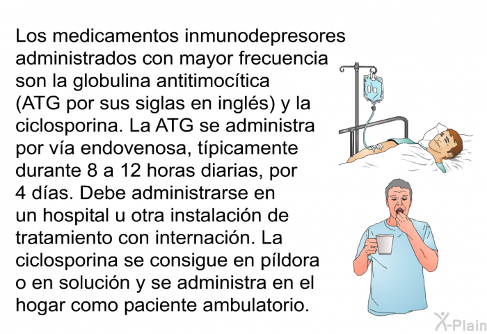 Los medicamentos inmunodepresores administrados con mayor frecuencia son la globulina antitimoctica (ATG por sus siglas en ingls) y la ciclosporina. La ATG se administra por va endovenosa, tpicamente durante 8 a 12 horas diarias, por 4 das. Debe administrarse en un hospital u otra instalacin de tratamiento con internacin. La ciclosporina se consigue en pldora o en solucin y se administra en el hogar como paciente ambulatorio.