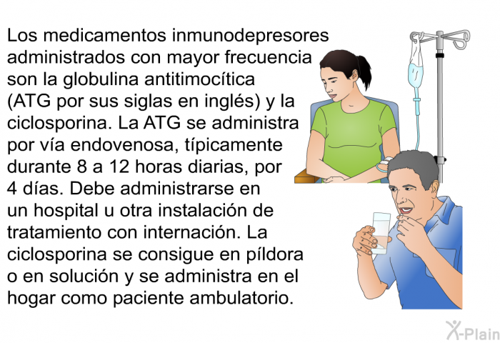 Los medicamentos inmunodepresores administrados con mayor frecuencia son la globulina antitimoctica (ATG por sus siglas en ingls) y la ciclosporina. La ATG se administra por va endovenosa, tpicamente durante 8 a 12 horas diarias, por 4 das. Debe administrarse en un hospital u otra instalacin de tratamiento con internacin. La ciclosporina se consigue en pldora o en solucin y se administra en el hogar como paciente ambulatorio.