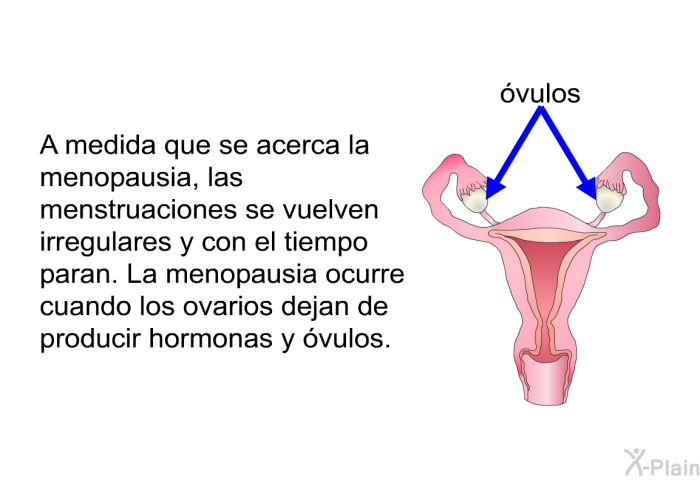 A medida que se acerca la menopausia, las menstruaciones se vuelven irregulares y con el tiempo paran. La menopausia ocurre cuando los ovarios dejan de producir hormonas y vulos.